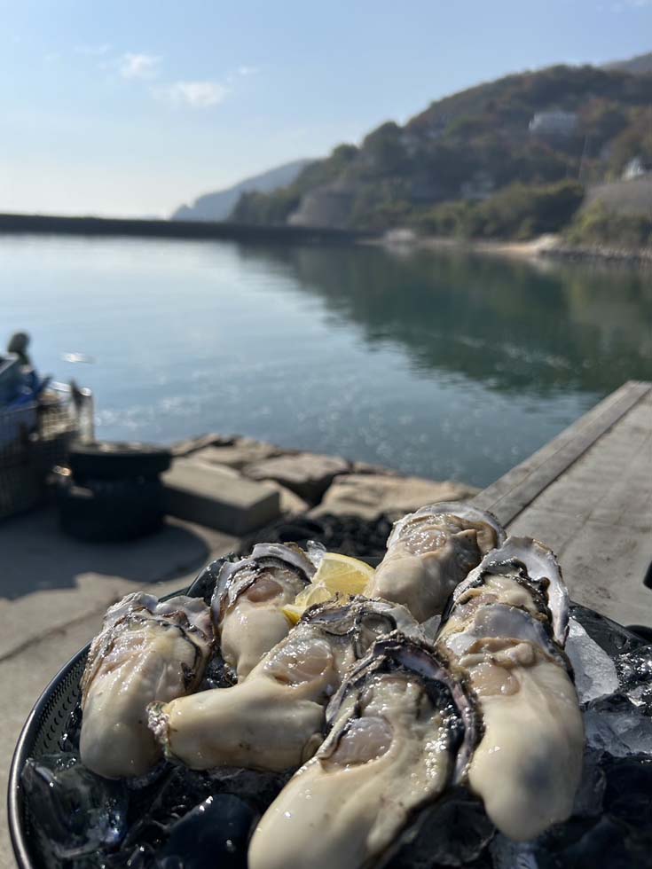 「輝(かがやき)」